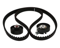 کیت تسمه تایم رایکالتون کد RT1077-134Z مدل 134 دندانه HNBR مناسب برای پژو 206 تیپ 5 و پژو 207
